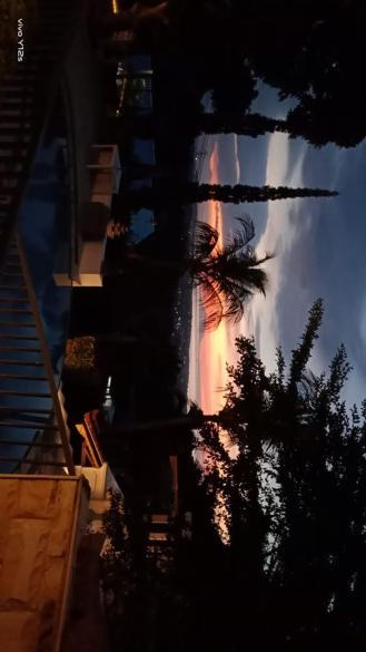 Soul Lodge Villa Lovina Banjar  Dış mekan fotoğraf